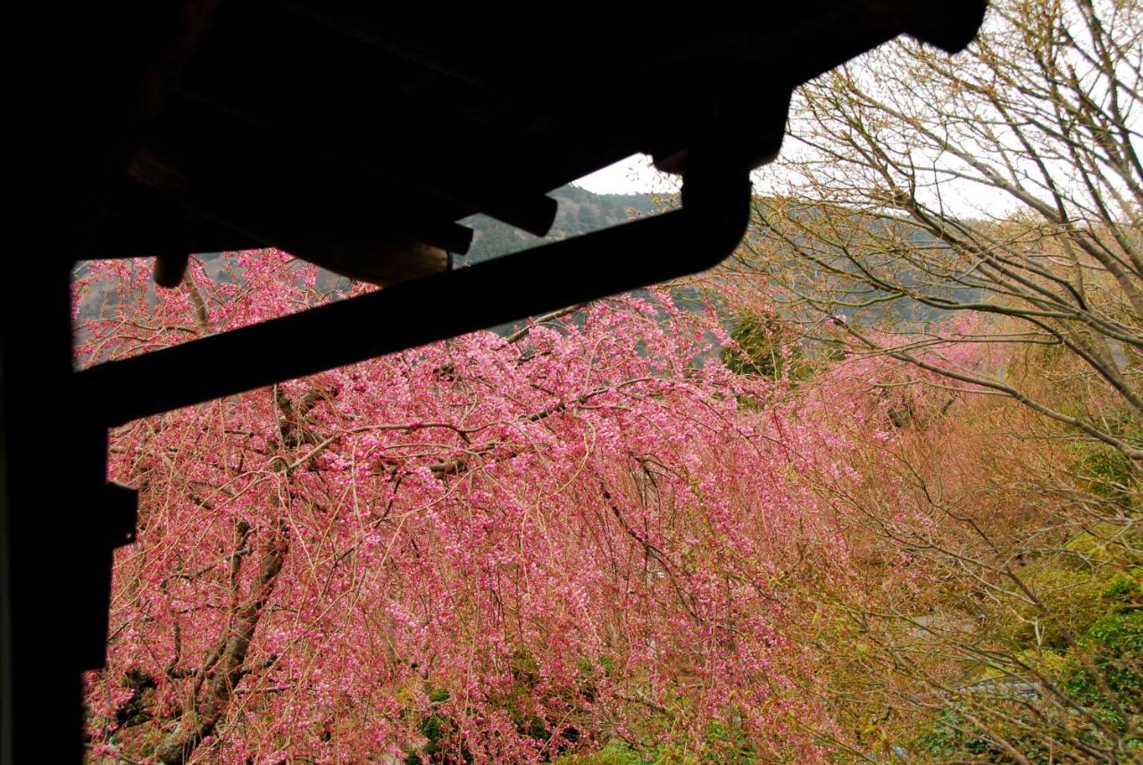 Ryokan Kowakien Mikawaya Hakone